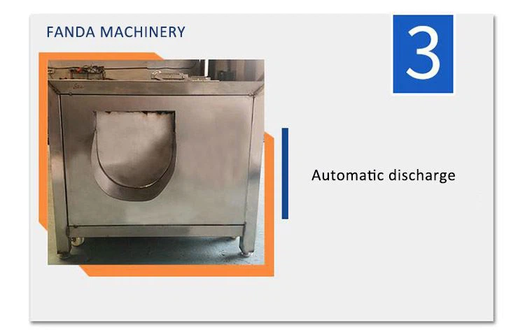 vegetable cleaning machine3