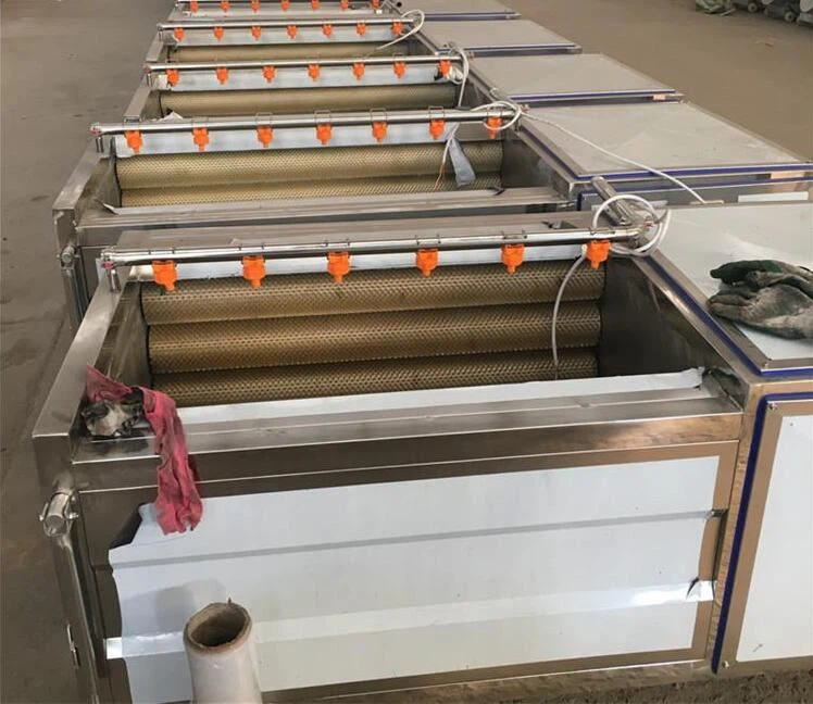 automatic vegetable fruit washing machine