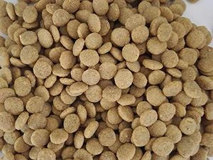 dog feed making machine